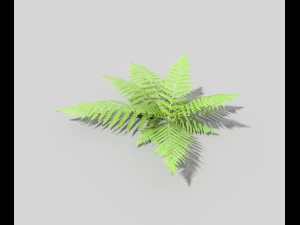 low poly fern 3D Model