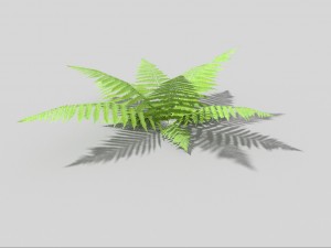 low poly fern 3D मॉडल
