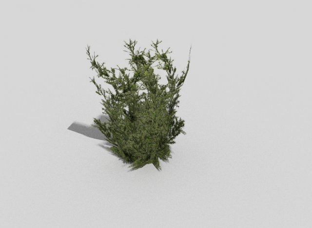 low poly plant 3D Model .c4d .max .obj .3ds .fbx .stl .blend 