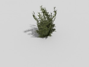low poly plant 3D Model