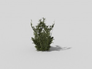 low poly plant 3D Model
