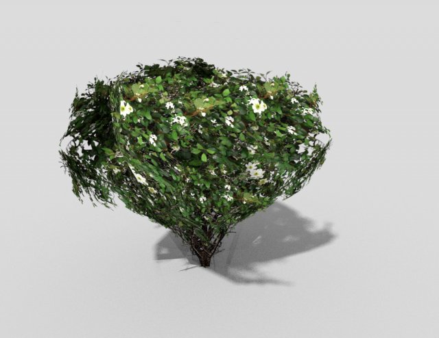 low poly shrub 3D-Modell .c4d .max .obj .3ds .fbx .stl .blend 