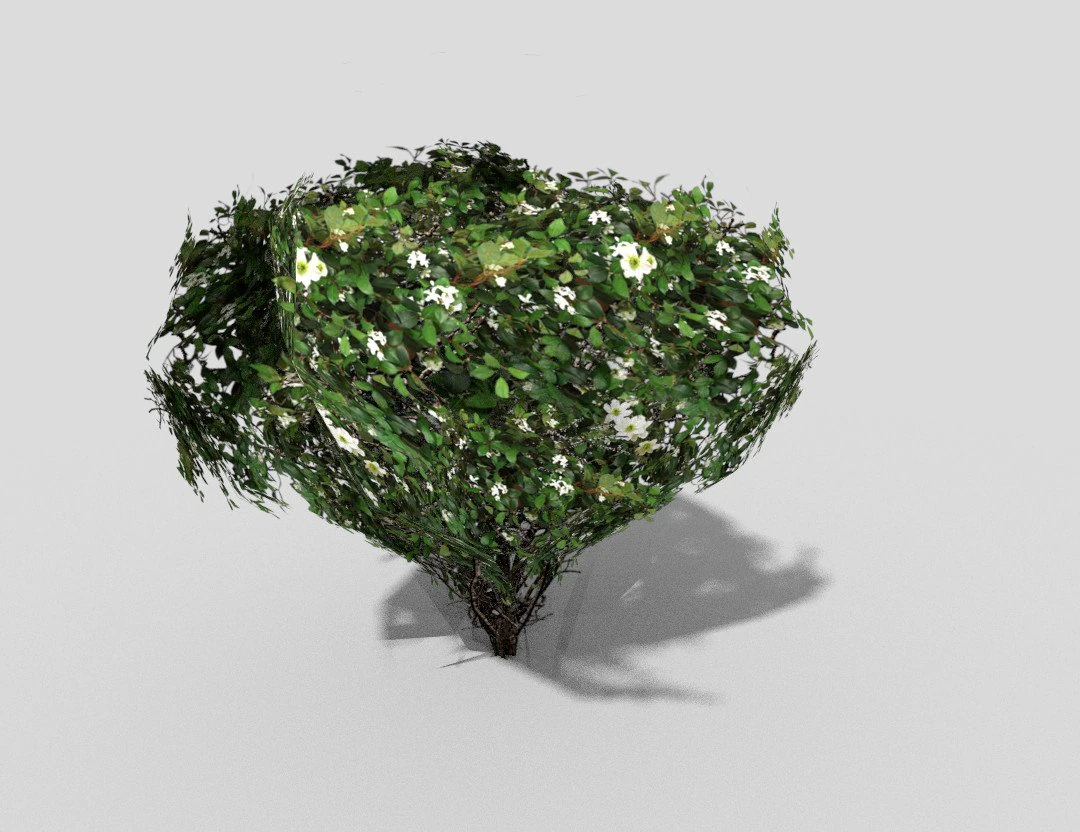 arbusto a basso poli Modello 3D .c4d .max .obj .3ds .fbx .stl .blend