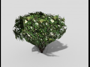 low poly shrub 3D 모델