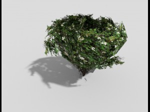 low poly shrub 3D-Modell