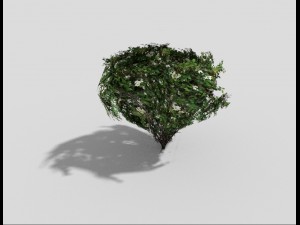 low poly shrub 3D-Modell