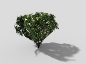 low poly shrub 3D-Modell