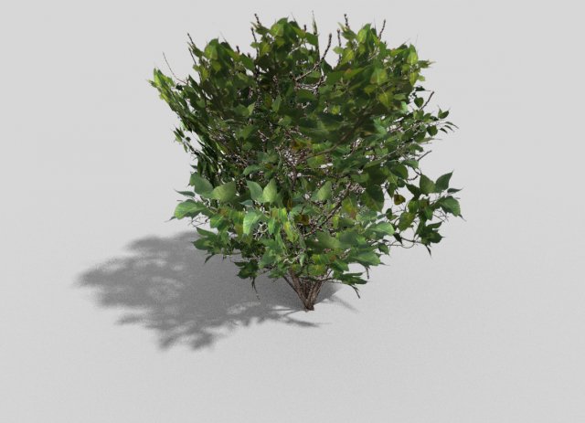 low poly shrub 3D Model .c4d .max .obj .3ds .fbx .stl .blend 