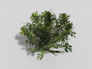 low poly shrub 3D Model