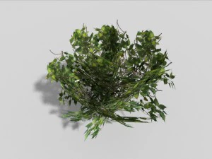 low poly shrub 3D Model