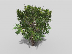 low poly shrub 3D Model