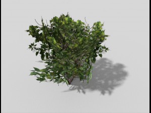 low poly shrub 3D Model
