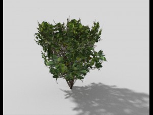 low poly shrub 3D Model