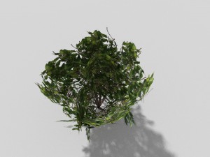 low poly shrub 3D Model