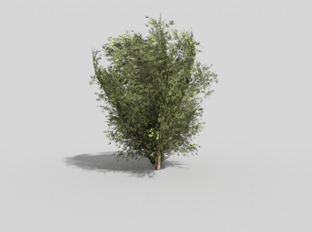low poly shrub 3D Model .c4d .max .obj .3ds .fbx .stl .blend 