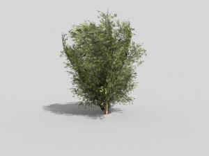low poly shrub Modelo 3D