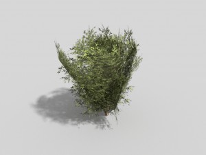 low poly shrub 3D Model