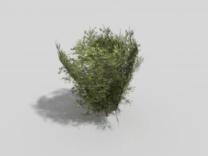 low poly shrub 3D Model