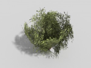 low poly shrub 3D Model