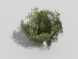 low poly shrub 3D Model