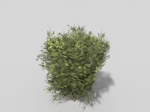 low poly shrub 3D Model