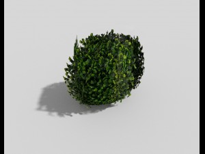 low poly shrub 3D 모델