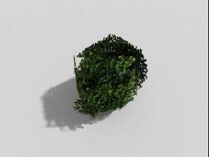 low poly shrub 3D 모델