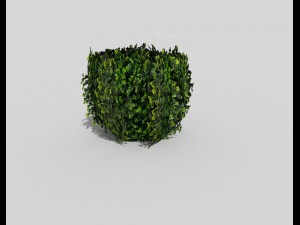 low poly shrub 3D 모델