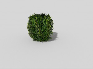 low poly shrub 3D 모델