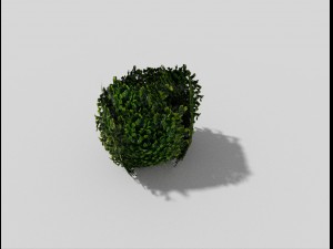 low poly shrub 3D 모델