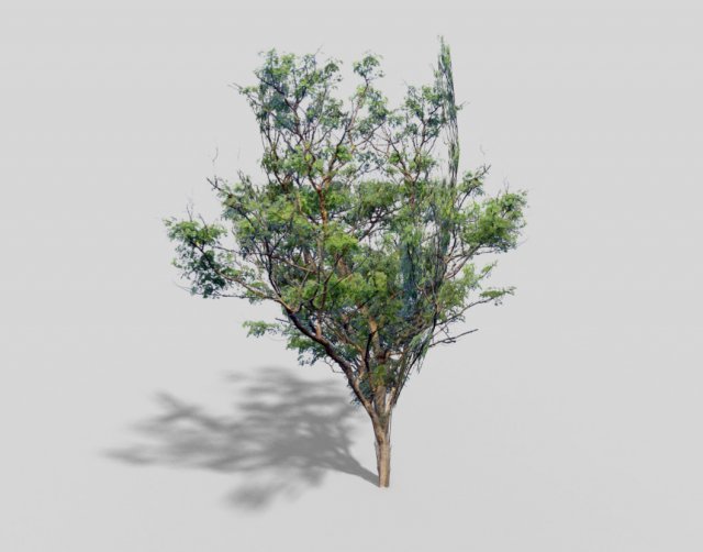 low poly tree Modelo 3D .c4d .max .obj .3ds .fbx .stl .blend 
