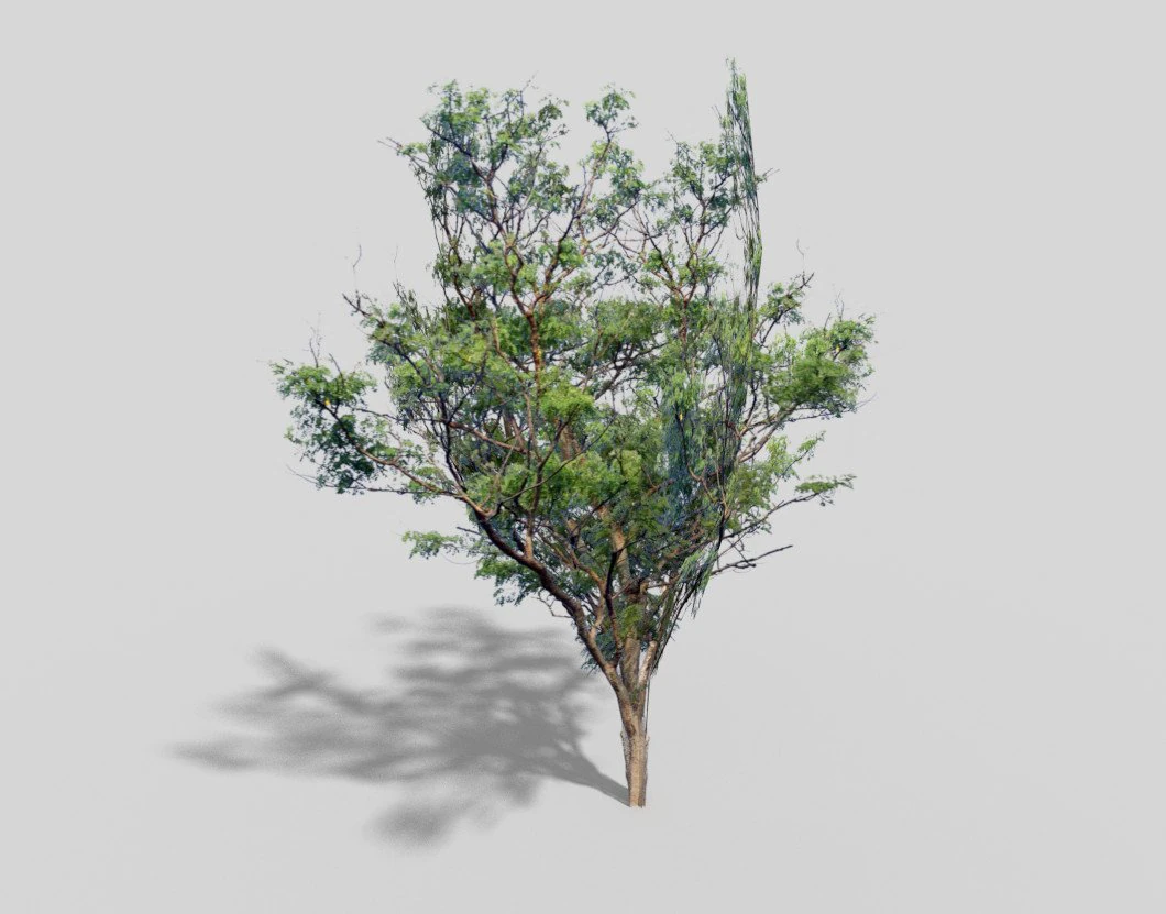 low poly tree 3D Model .c4d .max .obj .3ds .fbx .stl .blend 