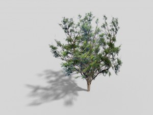low poly tree Modelo 3D