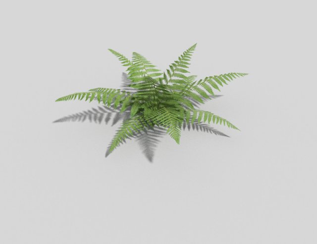 low poly fern 3D Model .c4d .max .obj .3ds .fbx .stl .blend 