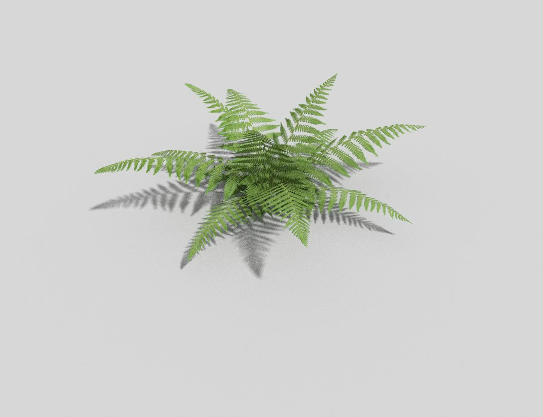 low poly fern 3D Model .c4d .max .obj .3ds .fbx .stl .blend