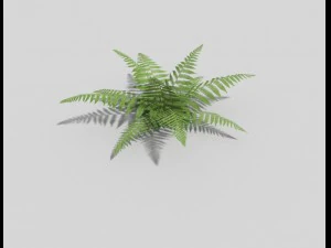लो पॉली फ़र्न 3D मॉडल