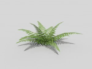 low poly fern 3D Model