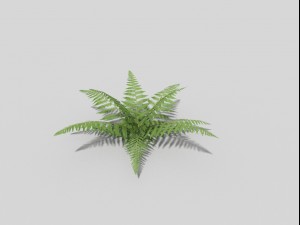 low poly fern 3D Model