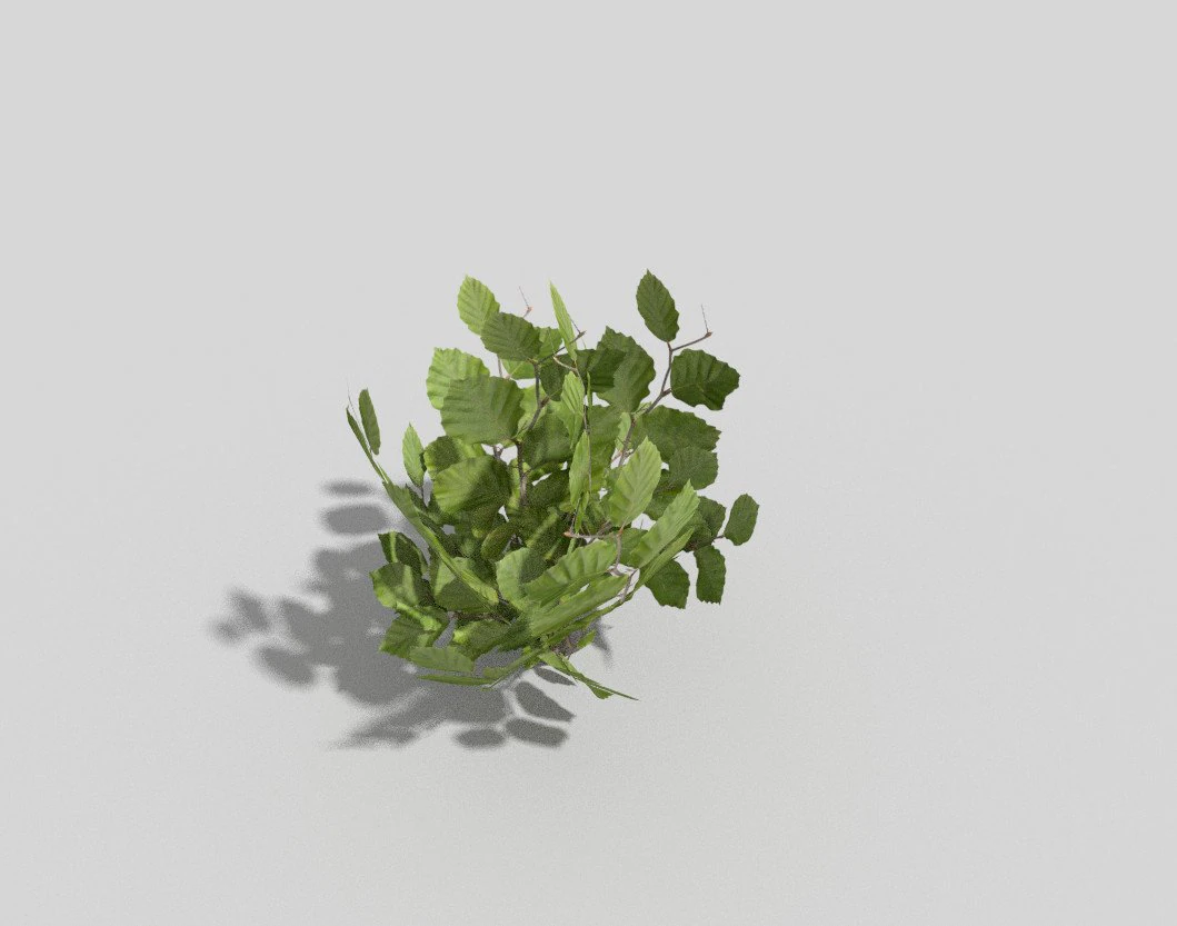 plante low poly Modèle 3D .c4d .max .obj .3ds .fbx .stl .blend 