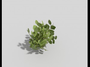 low poly plant 3Dモデル