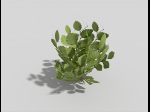 low poly plant 3D 모델
