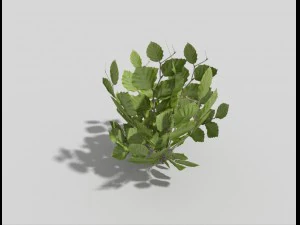 plante low poly Modèle 3D