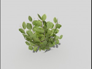 low poly plant 3D 모델
