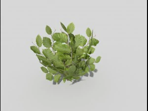 plante low poly Modèle 3D