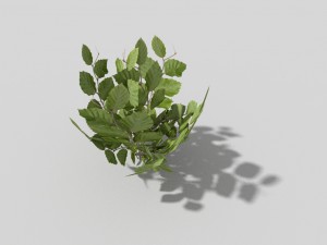 low poly plant 3D 모델