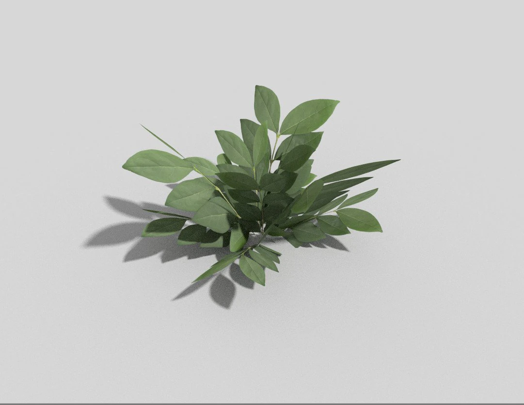 low poly plant 3D Model .c4d .max .obj .3ds .fbx .stl .blend 