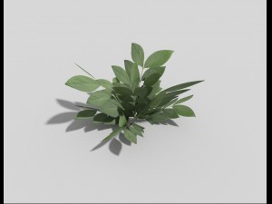 low poly plant 3D Model