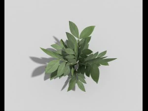 low poly plant 3D Model