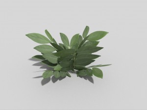 low poly plant Modello 3D