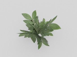 low poly plant Modello 3D